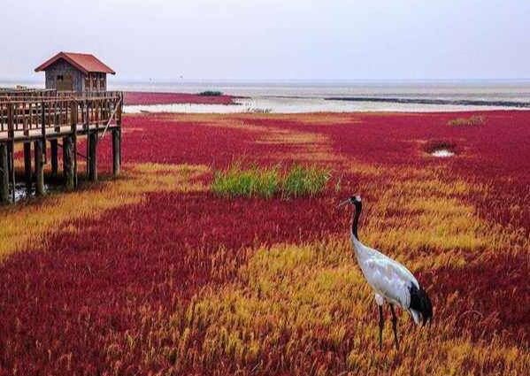 辽宁锦州旅游(辽宁锦州旅游攻略)