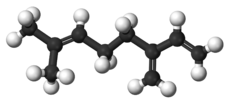 啤酒花背后的科学 – 精油