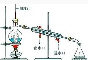 莫使金樽空对月，穿越者必备酒知识有哪些？