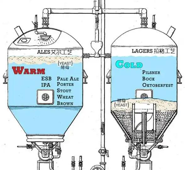 拉格啤酒是什么意思也有精酿吗，桶底低温发酵的窖藏啤酒有精酿