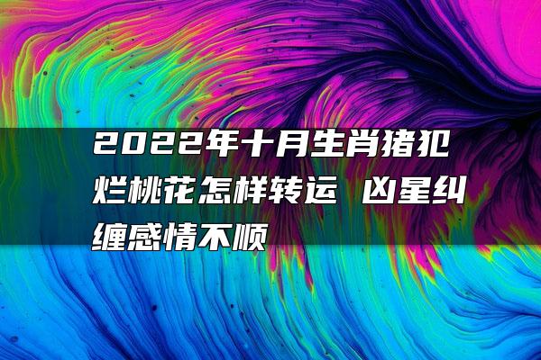 2022年十月生肖猪犯烂桃花怎样转运 凶星纠缠感情不顺