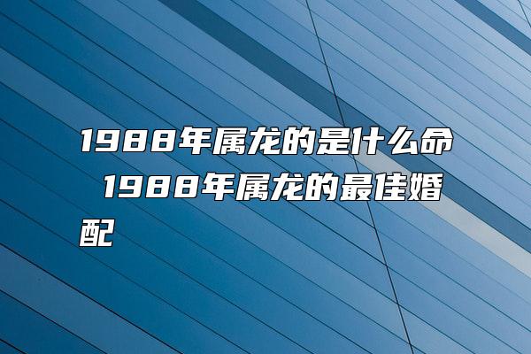 1988年属龙的是什么命 1988年属龙的最佳婚配