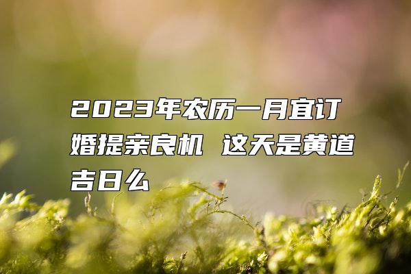 2023年农历一月宜订婚提亲良机 这天是黄道吉日么