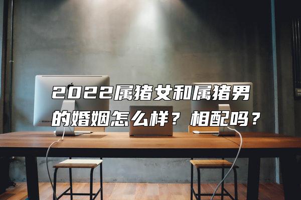 2022属猪女和属猪男的婚姻怎么样？相配吗？