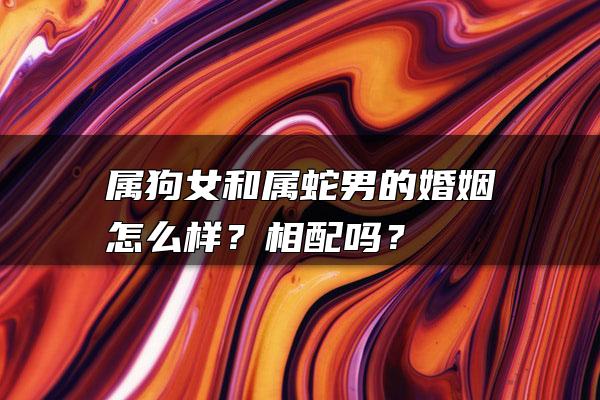 属狗女和属蛇男的婚姻怎么样？相配吗？