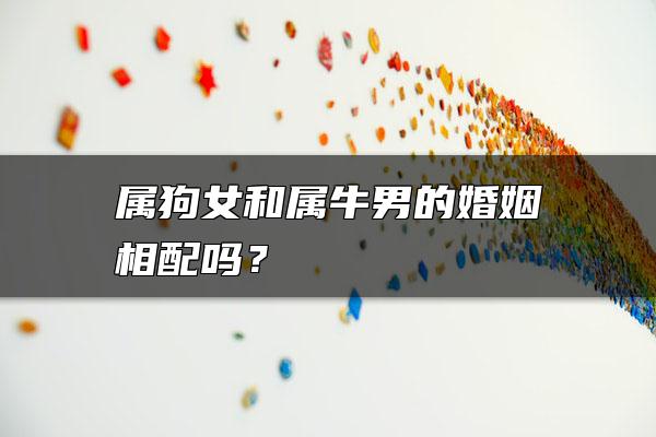 属狗女和属牛男的婚姻相配吗？