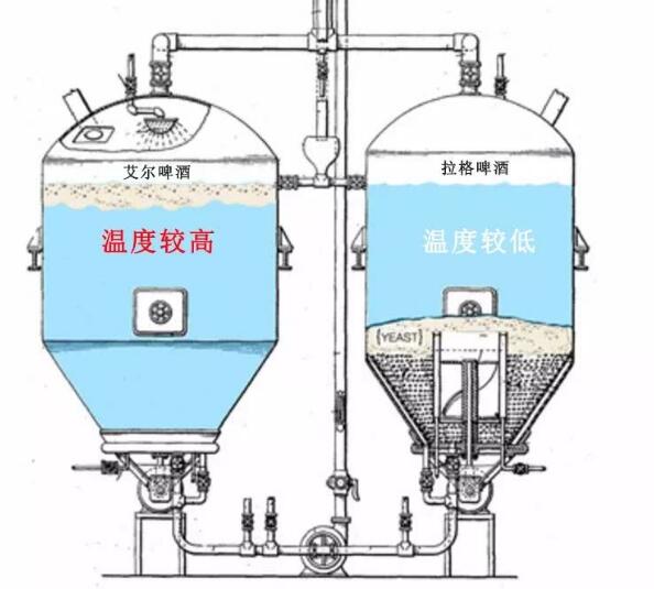 啤酒分为几大类有什么区别，根据工艺不同分为艾尔和拉格两大类