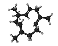 啤酒花背后的科学 – 精油