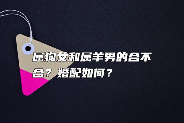 属狗女和属羊男的合不合？婚配如何？