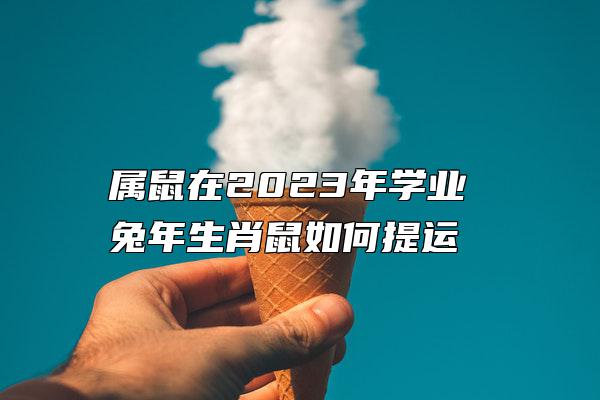 属鼠在2023年学业 兔年生肖鼠如何提运