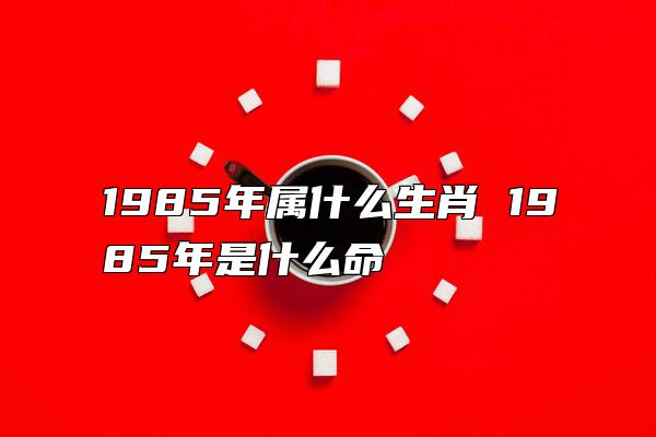 1985年属什么生肖 1985年是什么命