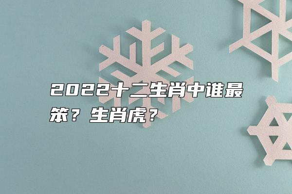 2022十二生肖中谁最笨？生肖虎？