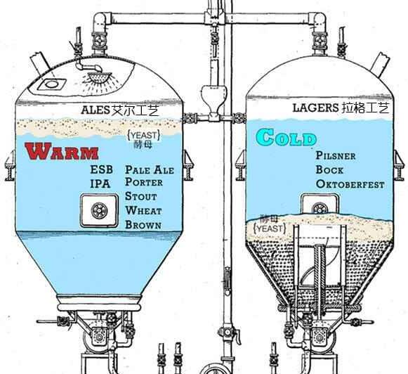 什么叫拉格啤酒，Lager是桶底酵母低温发酵的淡味啤酒