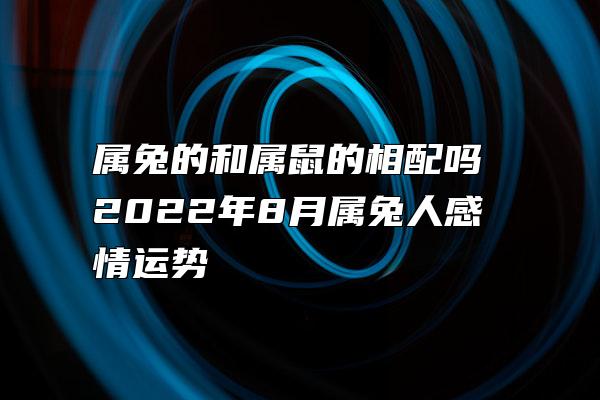 属兔的和属鼠的相配吗 2022年8月属兔人感情运势