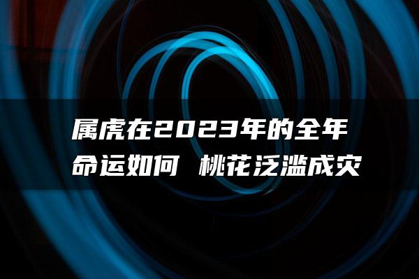 属虎在2023年的全年命运如何 桃花泛滥成灾