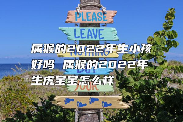 属猴的2022年生小孩好吗 属猴的2022年生虎宝宝怎么样