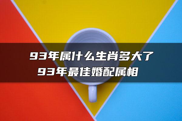 93年属什么生肖多大了 93年最佳婚配属相