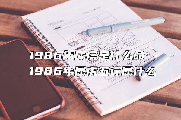 1986年属虎是什么命 1986年属虎五行属什么