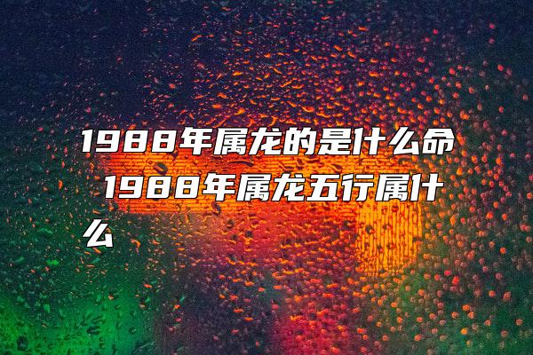 1988年属龙的是什么命 1988年属龙五行属什么