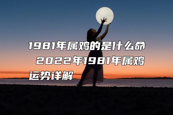 1981年属鸡的是什么命 2022年1981年属鸡运势详解