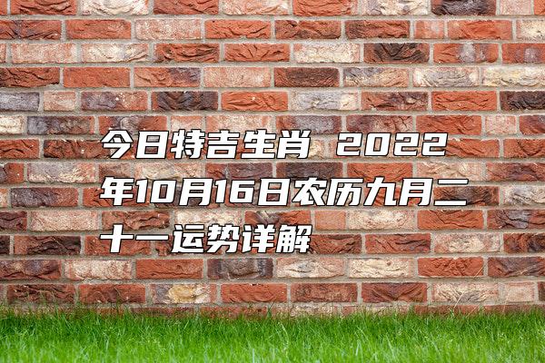 今日特吉生肖 2022年10月16日农历九月二十一运势详解