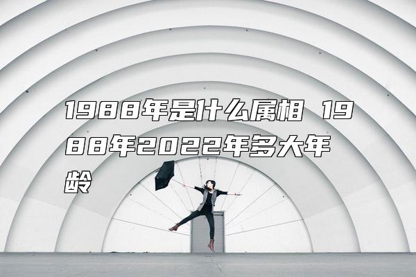 1988年是什么属相 1988年2022年多大年龄