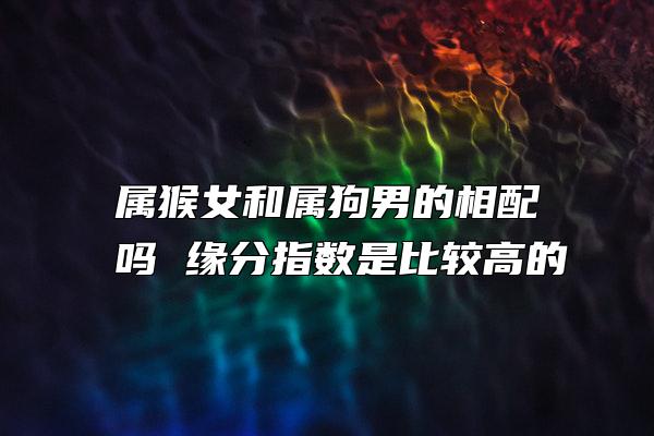 属猴女和属狗男的相配吗 缘分指数是比较高的