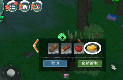 创造与魔法游戏中六种熊介绍 创造与魔法饲料获取获取攻略