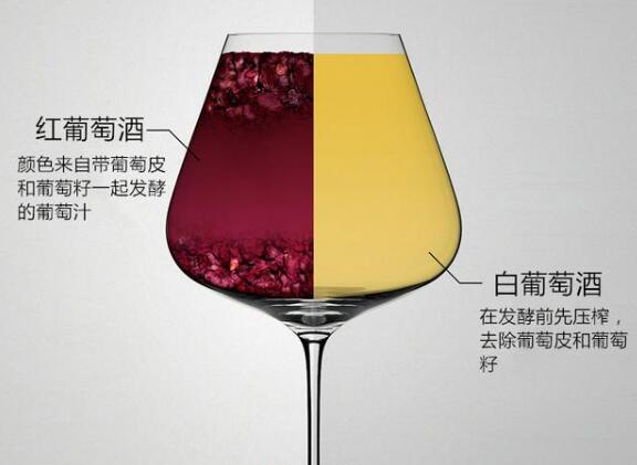 红葡萄酒和白葡萄酒的区别，不仅是颜色其口感风味和配餐都不同