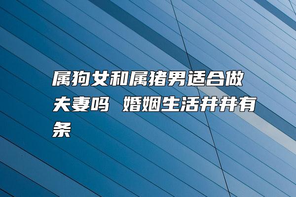 属狗女和属猪男适合做夫妻吗 婚姻生活井井有条