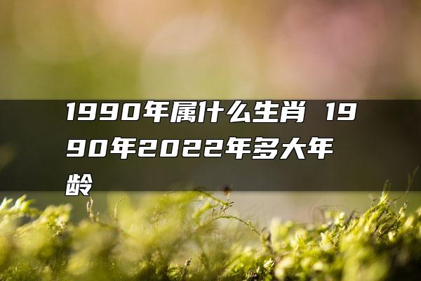 1990年属什么生肖 1990年2022年多大年龄