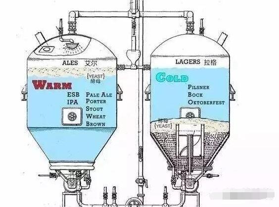 为什么中国只有拉格啤酒，适合低成本大批量生产加上资本操作