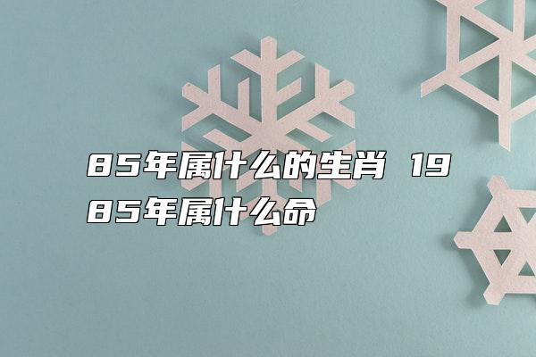 85年属什么的生肖 1985年属什么命