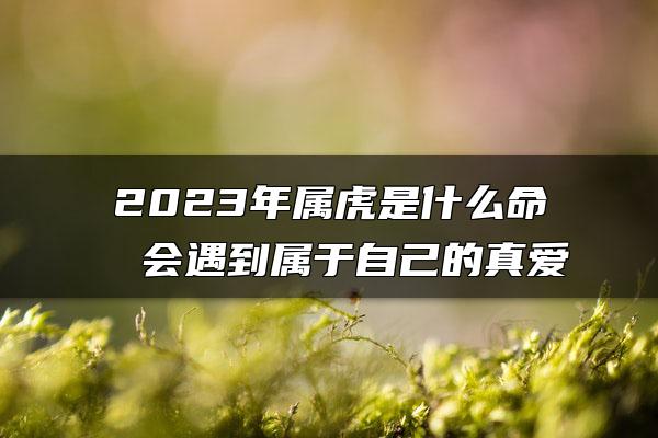 2023年属虎是什么命 会遇到属于自己的真爱