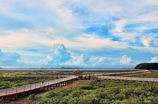 海陵岛上自驾旅游攻略(海陵岛自由行攻略景点)