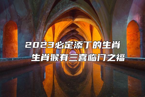 2023必定添丁的生肖 生肖猴有三喜临门之福