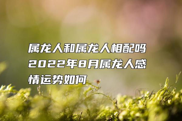 属龙人和属龙人相配吗 2022年8月属龙人感情运势如何