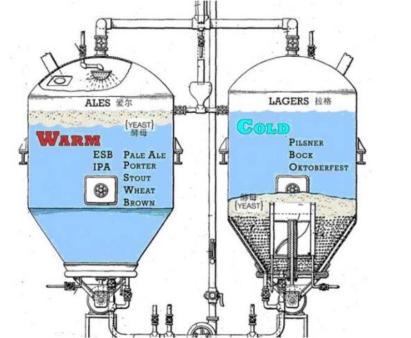 Stout世涛啤酒是拉格还是艾尔，不论哪种世涛都是上发酵艾尔啤酒