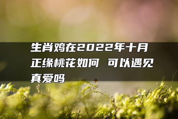 生肖鸡在2022年十月正缘桃花如何 可以遇见真爱吗