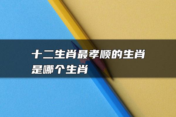 十二生肖最孝顺的生肖是哪个生肖