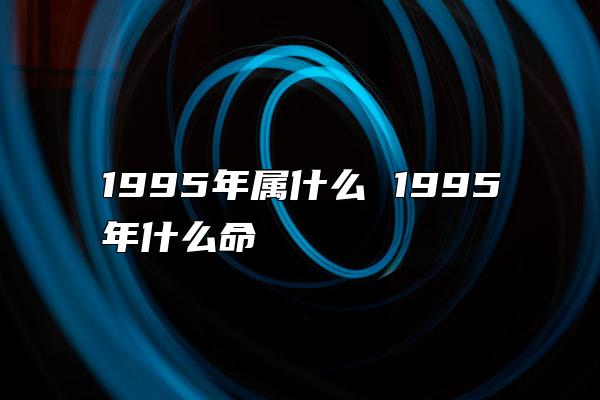 1995年属什么 1995年什么命