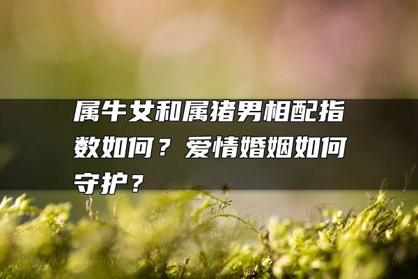 属牛女和属猪男相配指数如何？爱情婚姻如何守护？