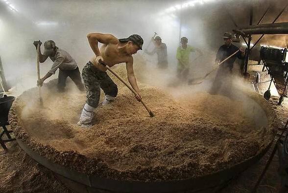 浓香型酱香型清香型白酒的区别，酿造工艺不同清香无窖池要求