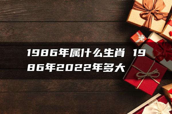 1986年属什么生肖 1986年2022年多大