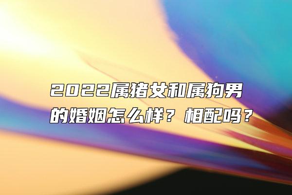 2022属猪女和属狗男的婚姻怎么样？相配吗？