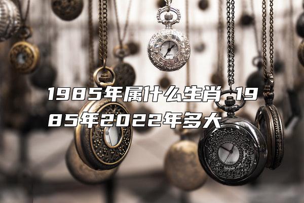 1985年属什么生肖 1985年2022年多大