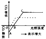 高中生物光合作用的基本过程