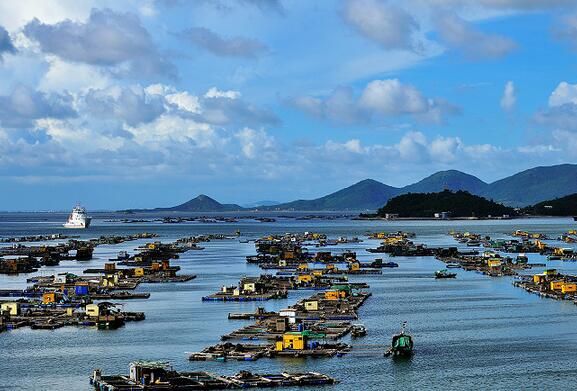 海陵岛上自驾旅游攻略(海陵岛自由行攻略景点)