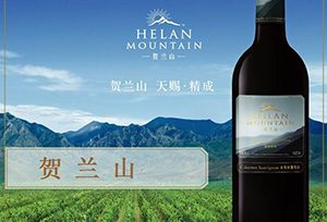 贺兰山葡萄酒怎么样？  