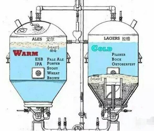 啤酒ALE是什么意思，上层发酵的艾尔啤酒也是所谓精酿